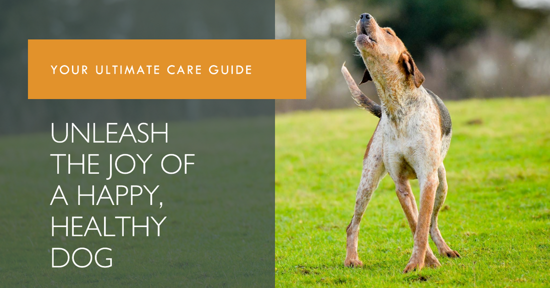 Unlocking the Secrets to a Thriving, Tail-Wagging Dog: Your Ultimate Care Guide!