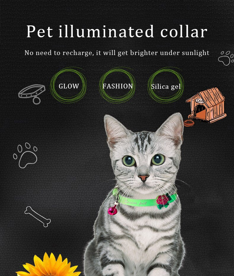 Glowing Dog Collar