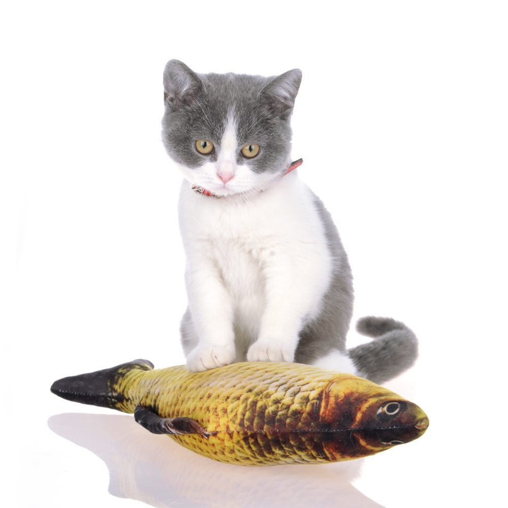 Fish Cat Toy