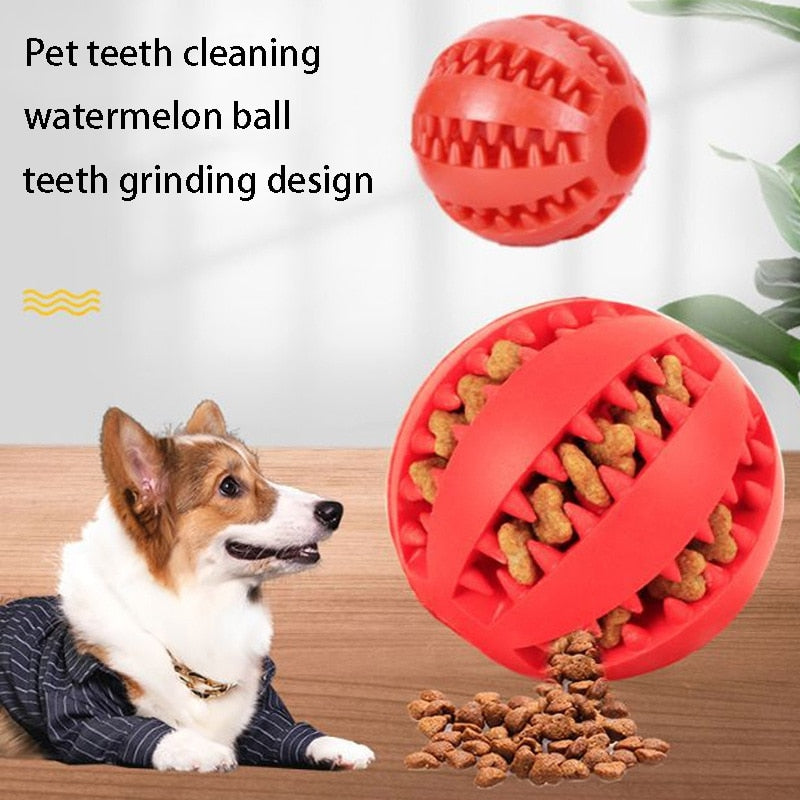 Chew toy for a dog made of natural rubber