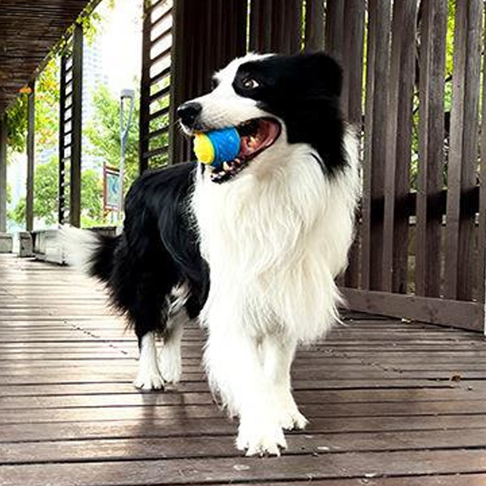 Bite-Ball Dog Toy