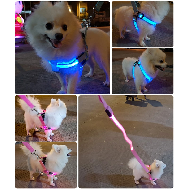 IllumiPup™ - Rechargeable LED Dog Harness