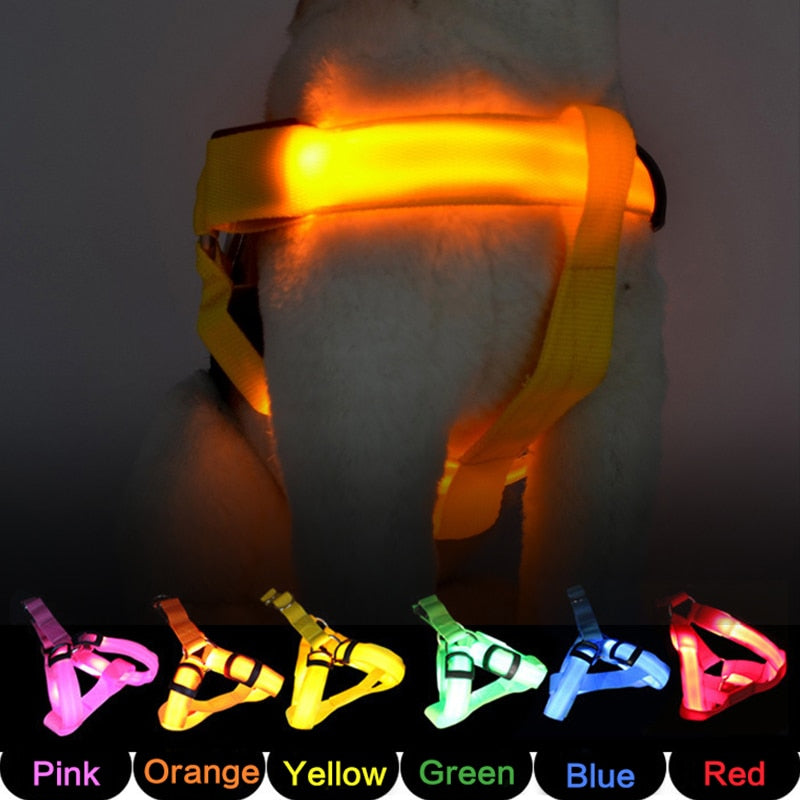 IllumiPup™ - Rechargeable LED Dog Harness