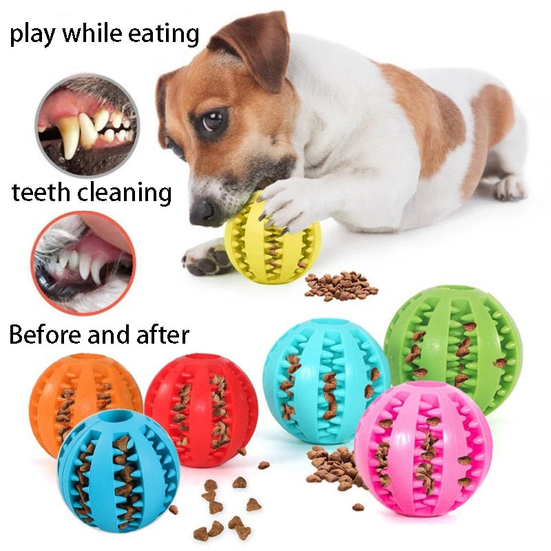 Chew toy for a dog made of natural rubber