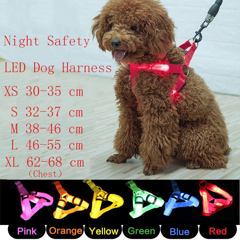 IllumiPup™ - Rechargeable LED Dog Harness