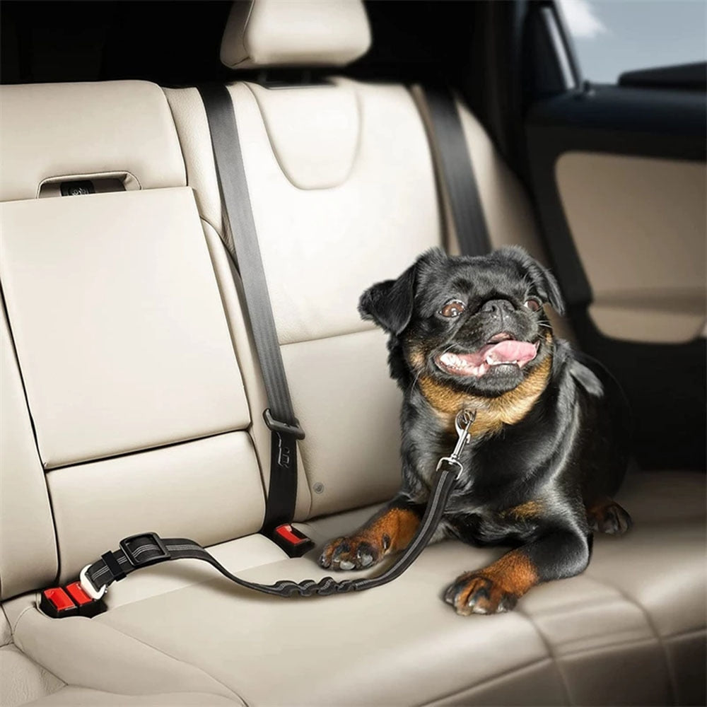 Ultimate Dog Seat Belt