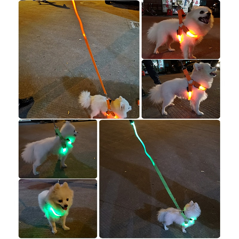 IllumiPup™ - Rechargeable LED Dog Harness