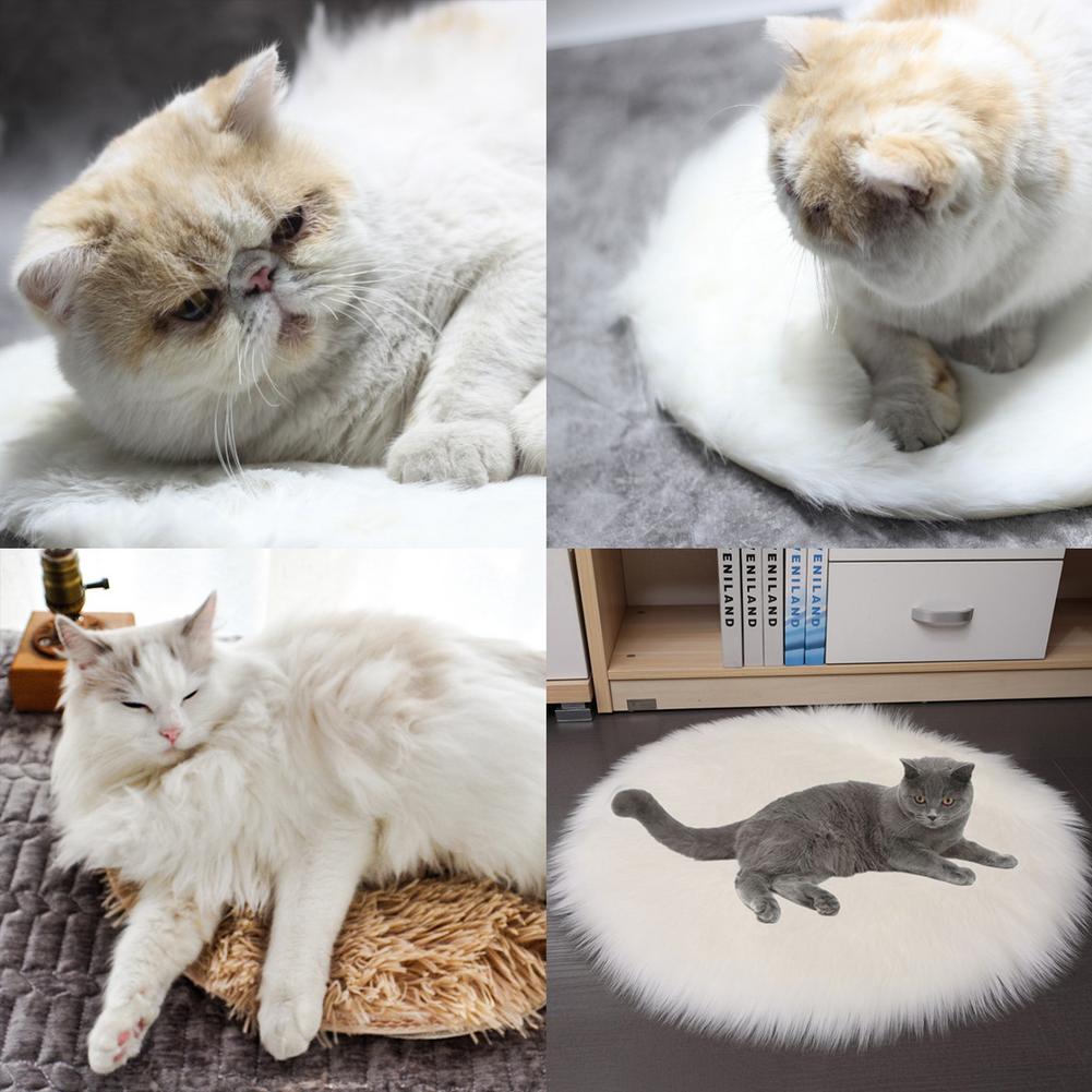 CosyPaws™ -
 Electric Heating Pad Blanket for Winter Pet Comfort