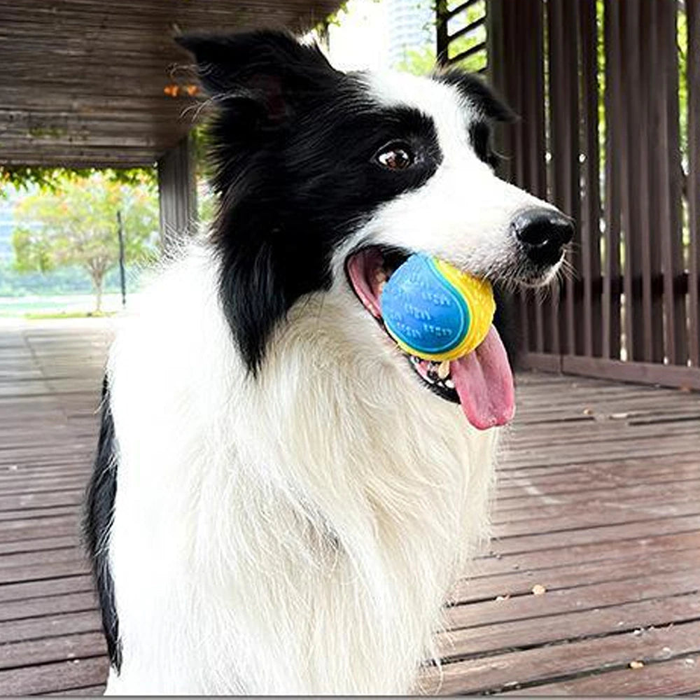 Bite-Ball Dog Toy