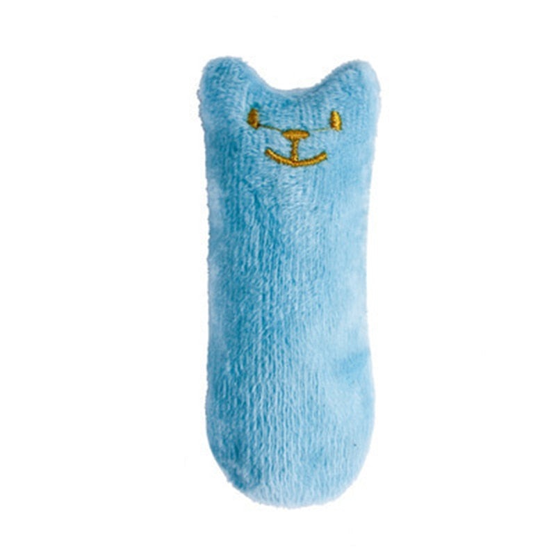 Catnip Cat Toy