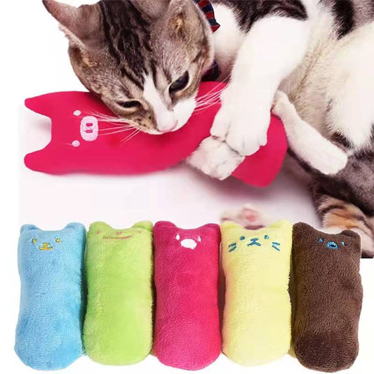 Catnip Cat Toy